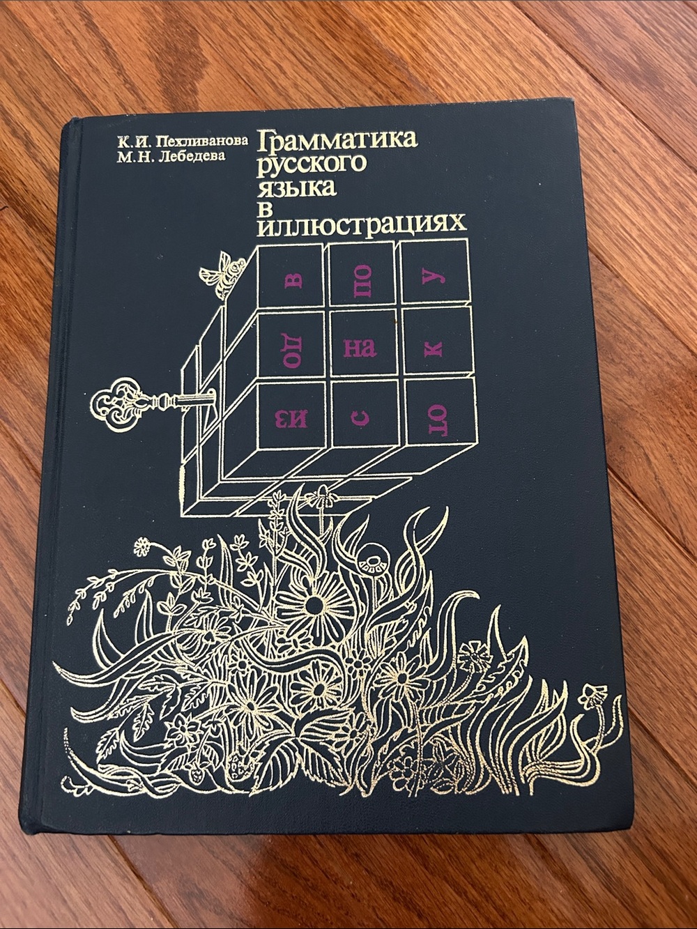 VTG 1991 Russian Grammar in Illustrations Hardcover – Pekhlivanova & Lebedeva